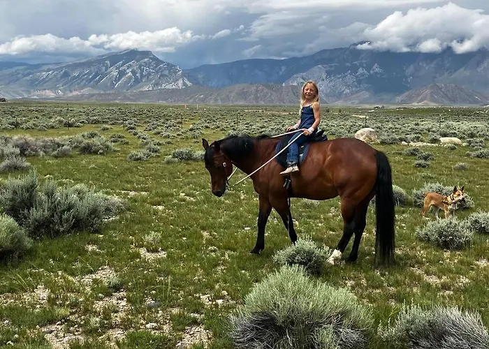 Yellowstone River! Mountain Views! Holiday home *